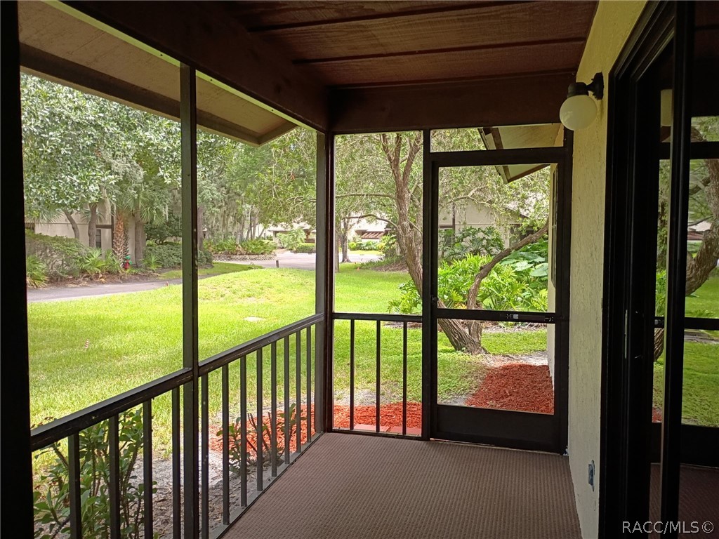 2923 Fig Court, Palm Harbor, FL 34684