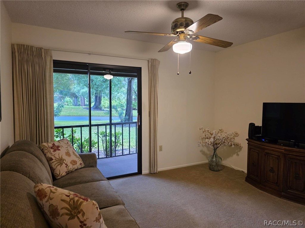 2923 Fig Court, Palm Harbor, FL 34684