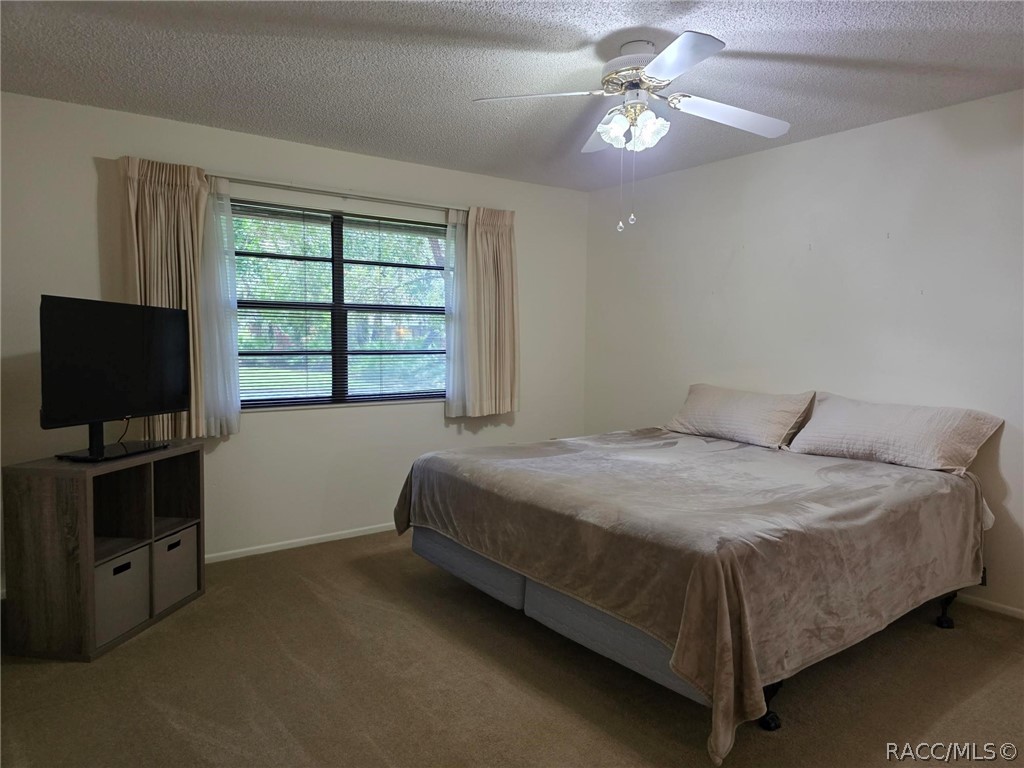 2923 Fig Court, Palm Harbor, FL 34684