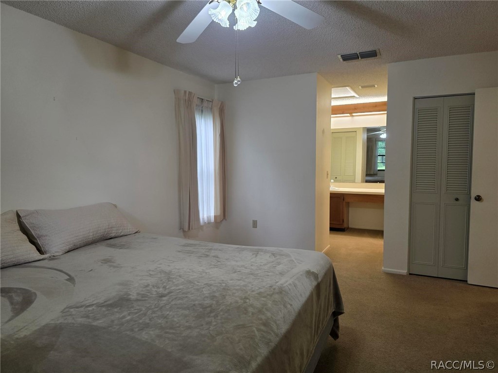 2923 Fig Court, Palm Harbor, FL 34684