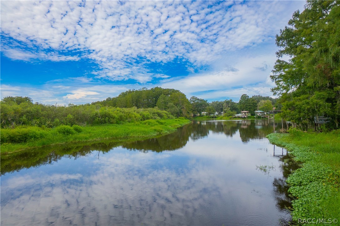 9570 E Tsala Apopka Drive, Floral City, FL 34436