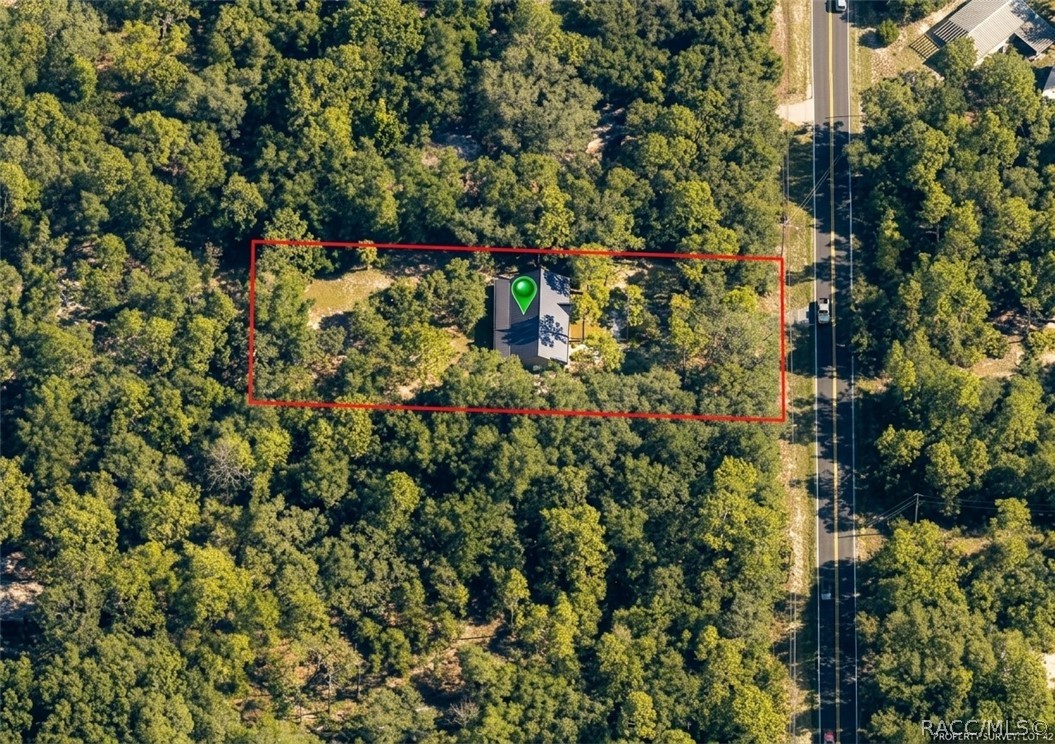 814 N Dunkenfield Avenue, Crystal River, FL 34429