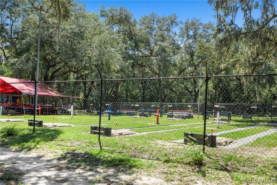 804 W Buttonbush Drive, Beverly Hills, FL 34465