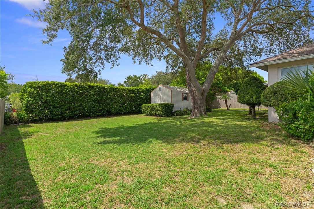 804 W Buttonbush Drive, Beverly Hills, FL 34465