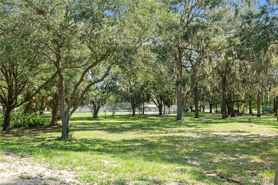 804 W Buttonbush Drive, Beverly Hills, FL 34465