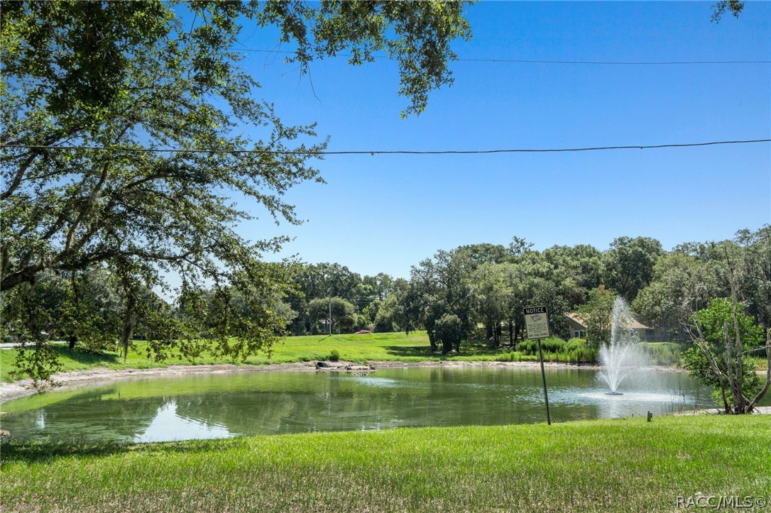 804 W Buttonbush Drive, Beverly Hills, FL 34465