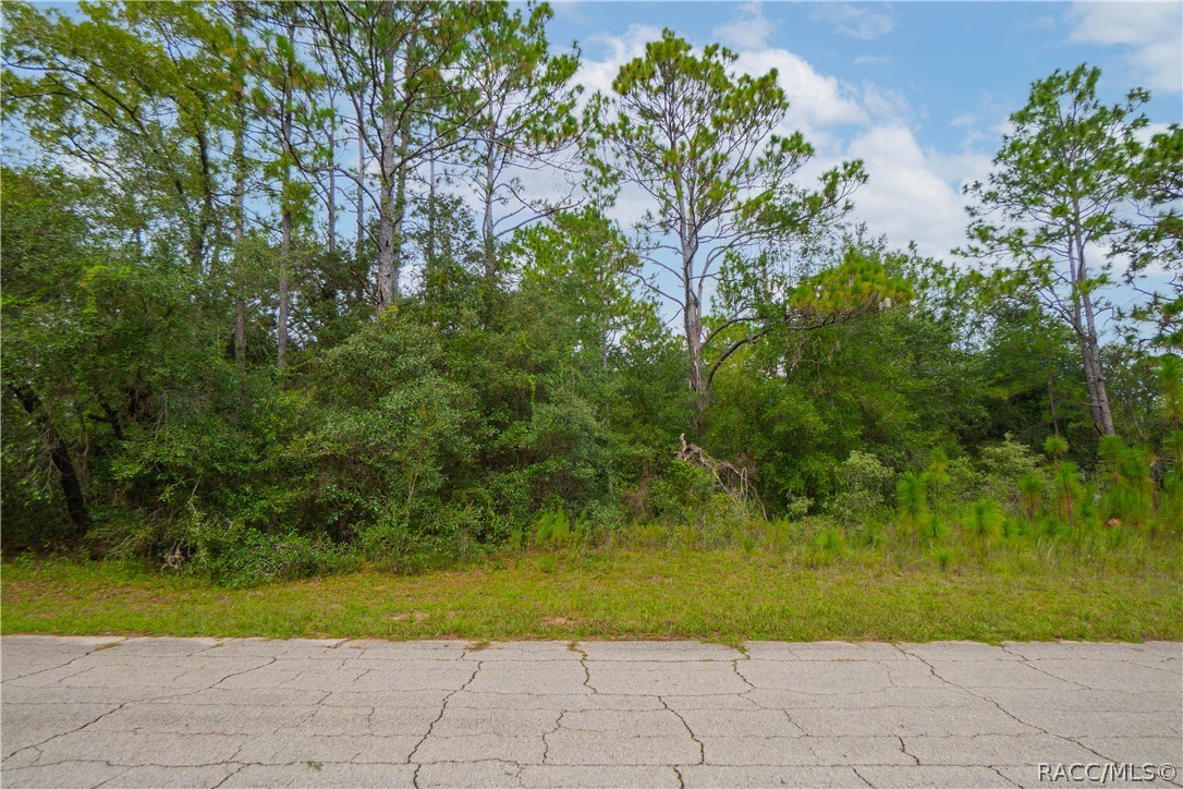 5960 N Rosebark Way, Beverly Hills, FL 34465