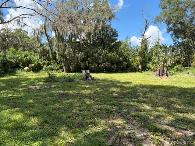 Fenced back yard