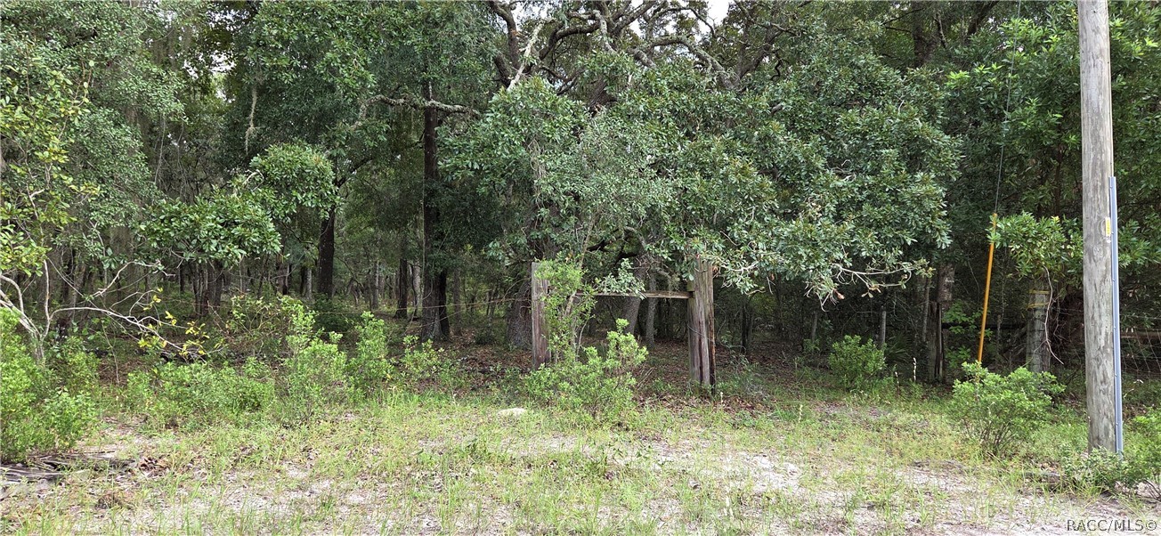 10442 E Moccasin Slough Road, Inverness, FL 34450 10442 E Moccasin Slough Road, Inverness, FL 34450