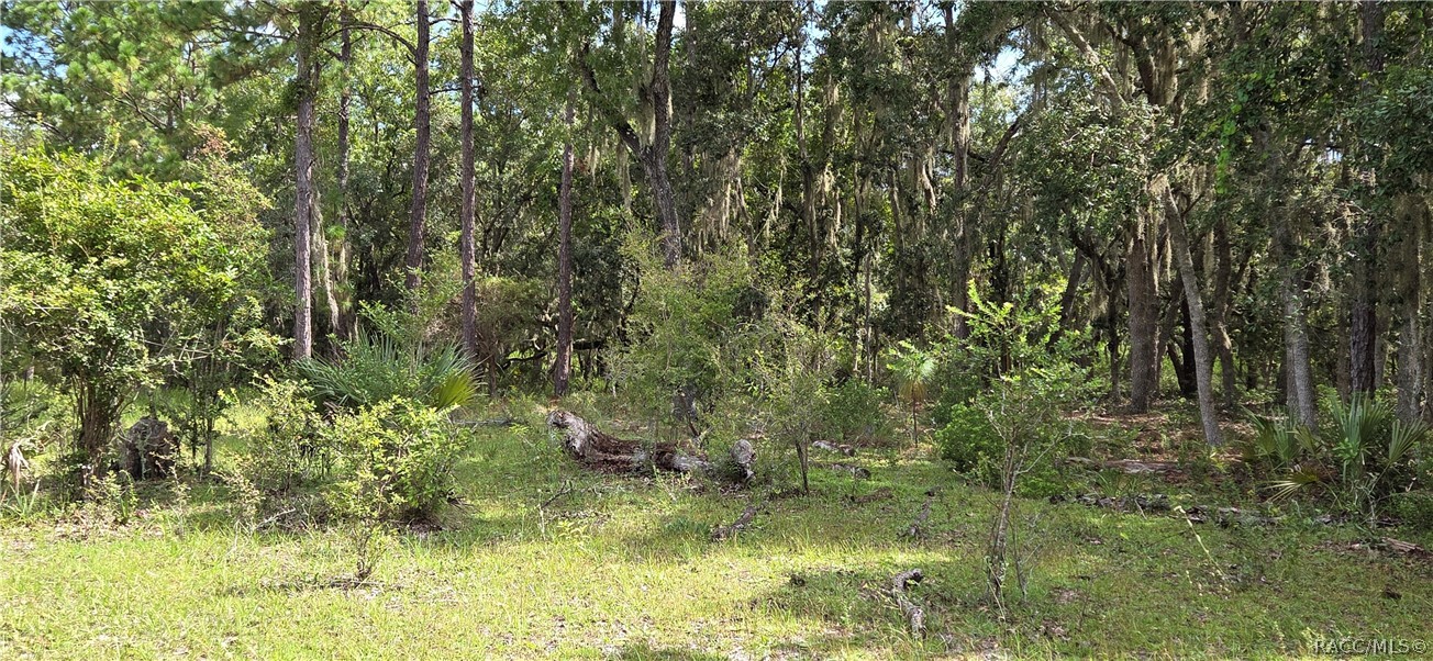 10442 E Moccasin Slough Road, Inverness, FL 34450 10442 E Moccasin Slough Road, Inverness, FL 34450