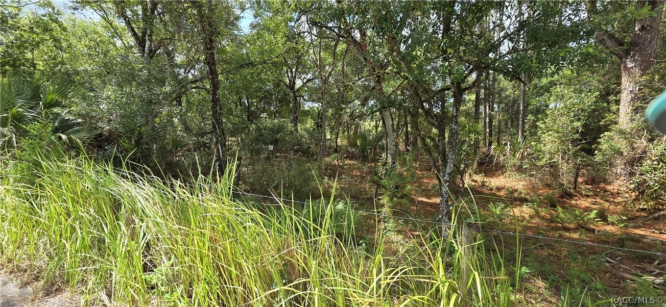 10442 E Moccasin Slough Road, Inverness, FL 34450 10442 E Moccasin Slough Road, Inverness, FL 34450