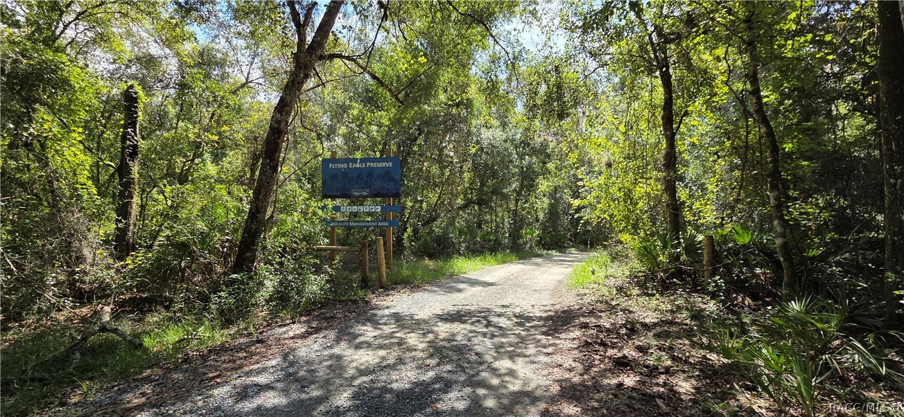 10442 E Moccasin Slough Road, Inverness, FL 34450