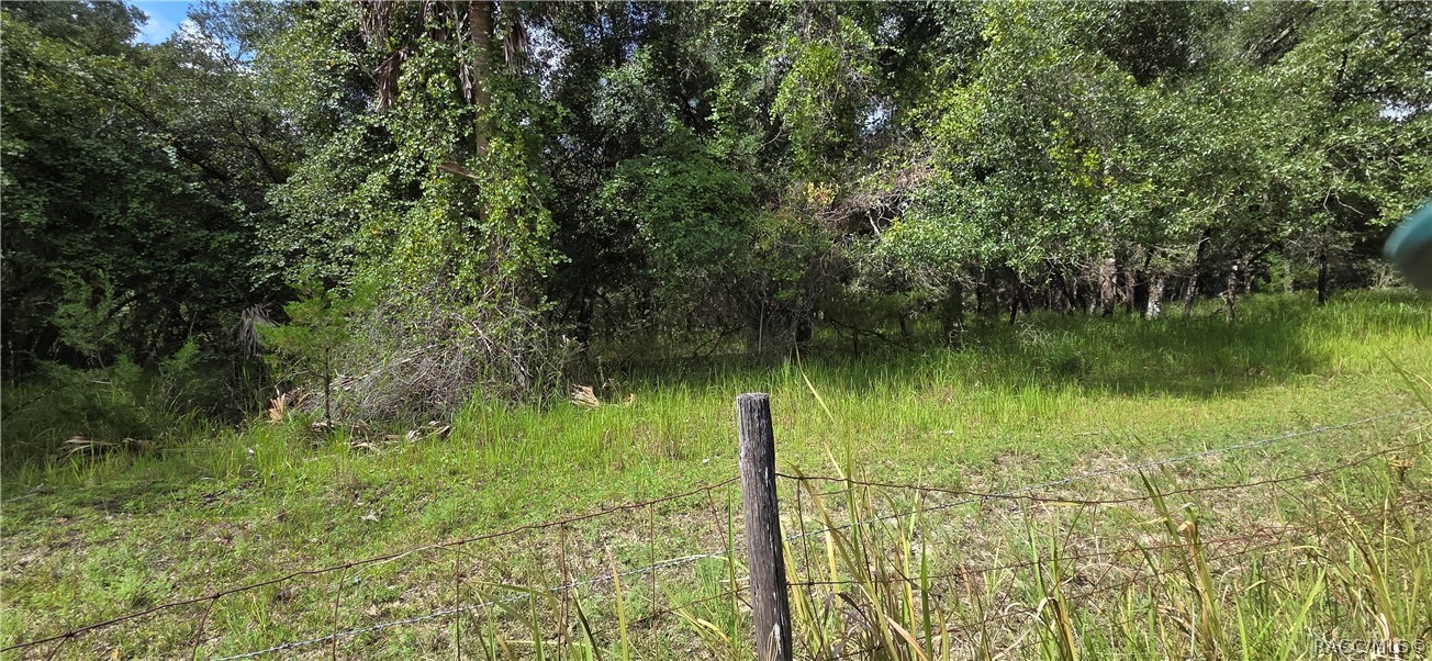 10442 E Moccasin Slough Road, Inverness, FL 34450 10442 E Moccasin Slough Road, Inverness, FL 34450