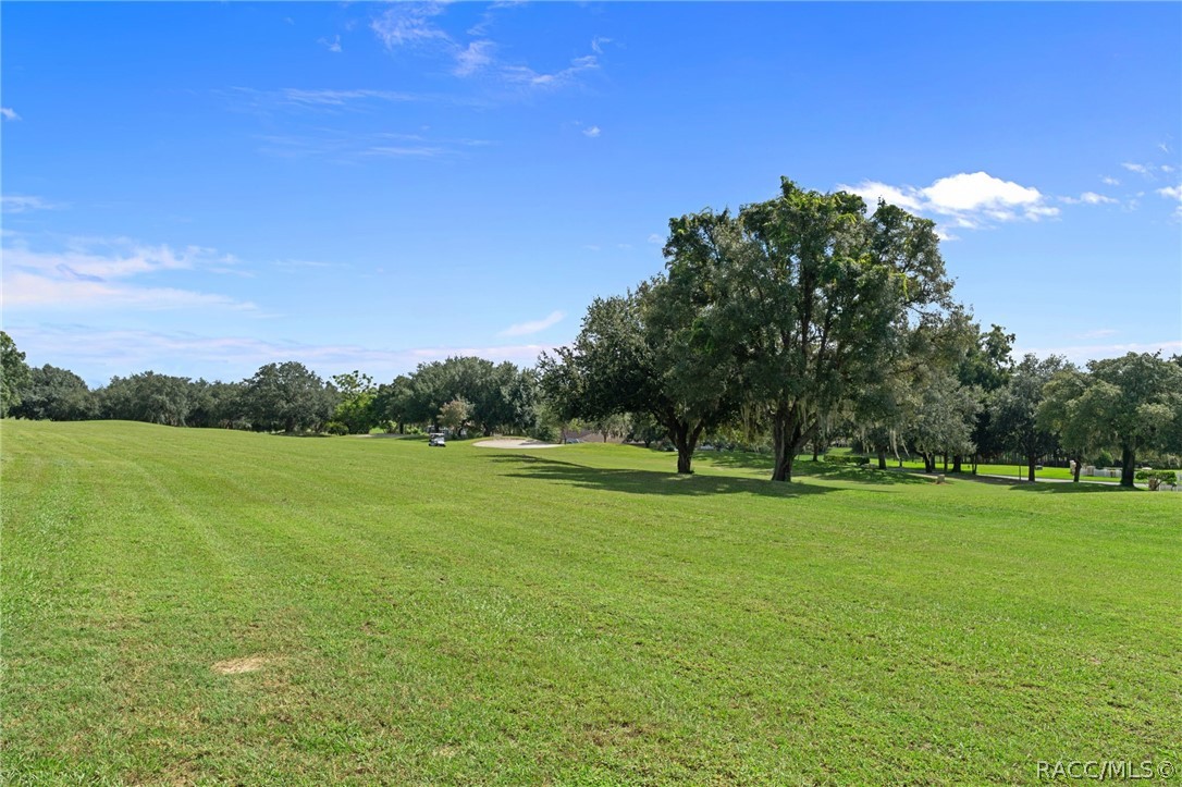 2295 N Andrea Point, Lecanto, FL 34461