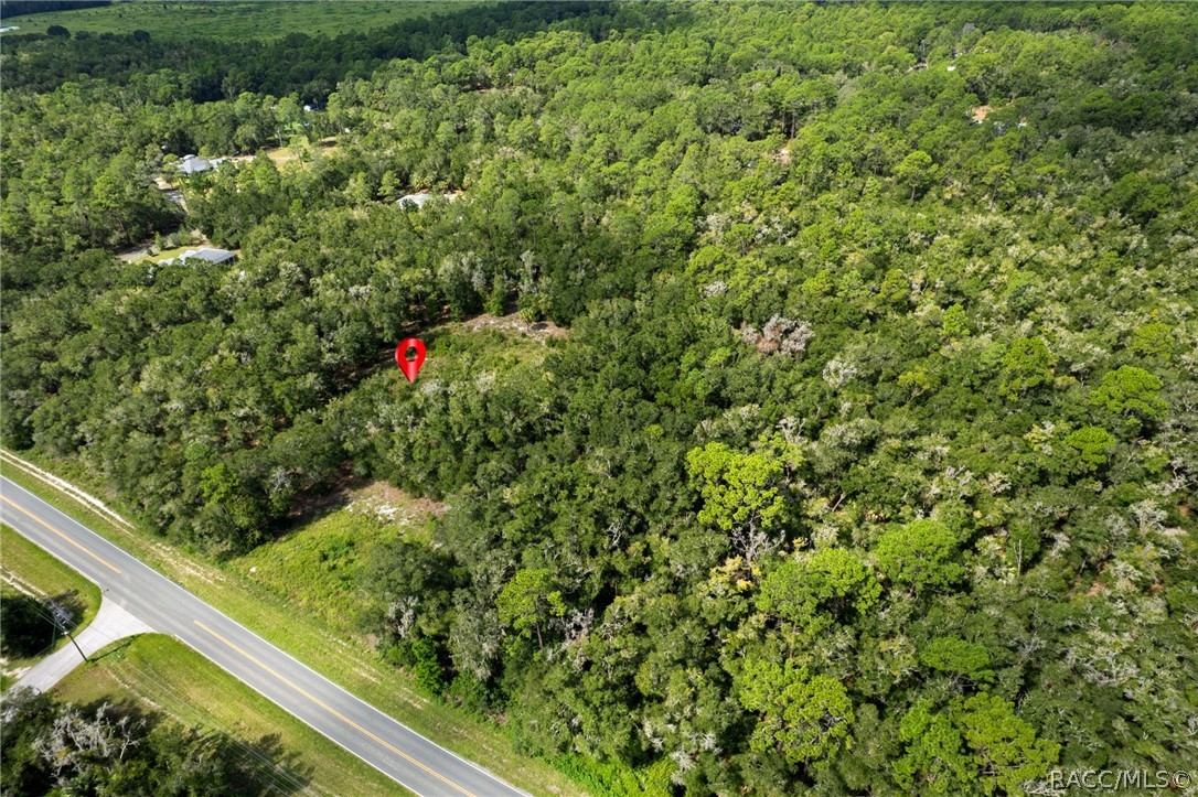 7706 N Citrus Avenue, Crystal River, FL 34428