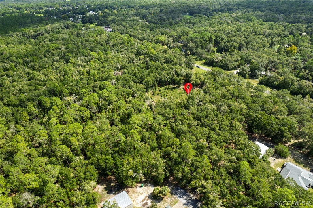 7706 N Citrus Avenue, Crystal River, FL 34428