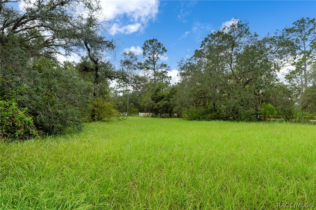 6310 W Corral Place, Beverly Hills, FL 34465