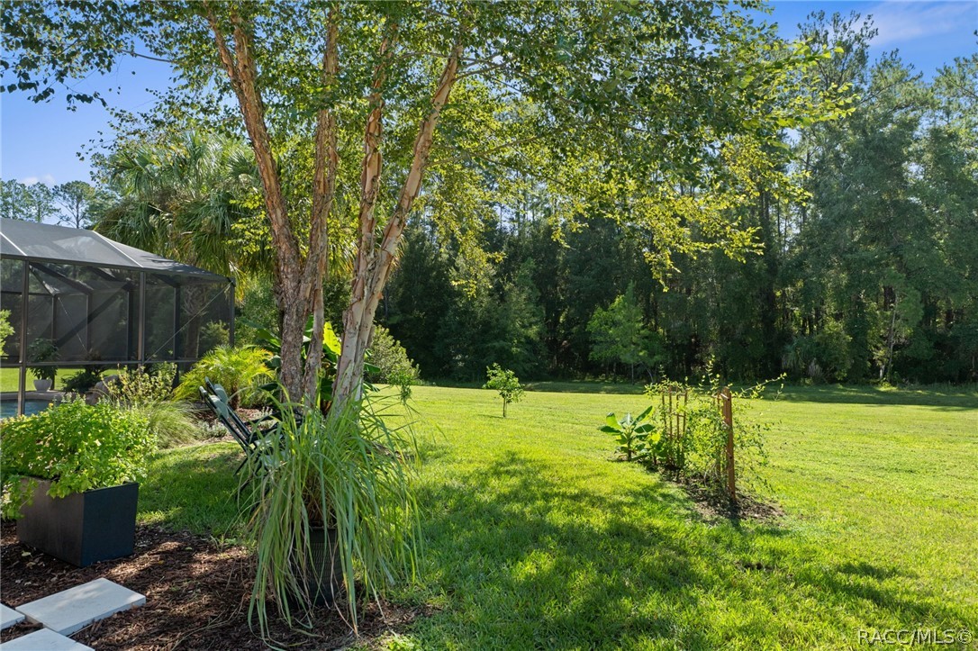 11845 N Bluff Cove Path, Dunnellon, FL 34434