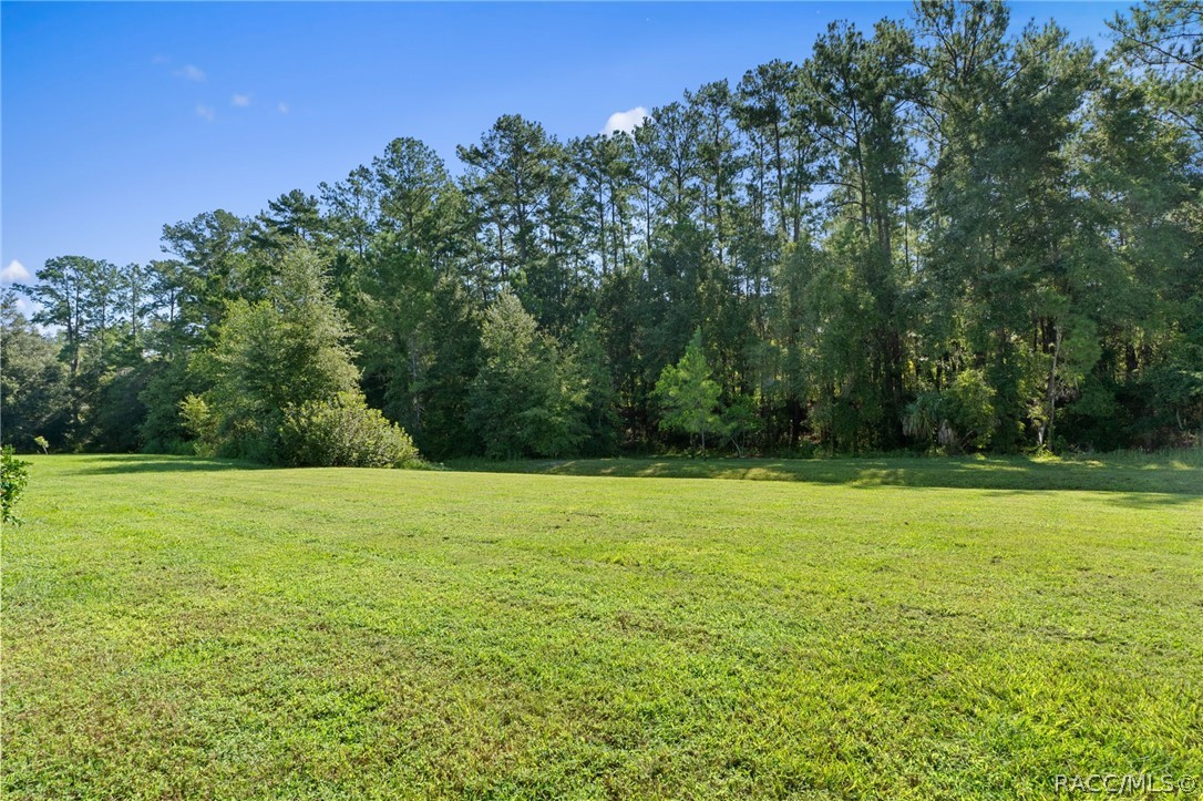 11845 N Bluff Cove Path, Dunnellon, FL 34434