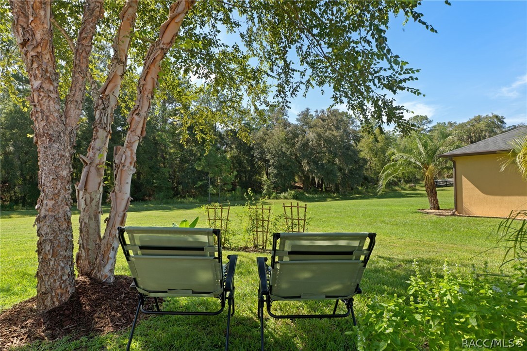 11845 N Bluff Cove Path, Dunnellon, FL 34434