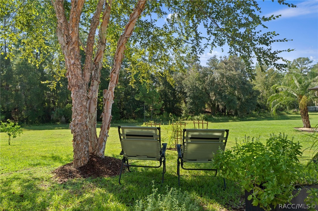 11845 N Bluff Cove Path, Dunnellon, FL 34434