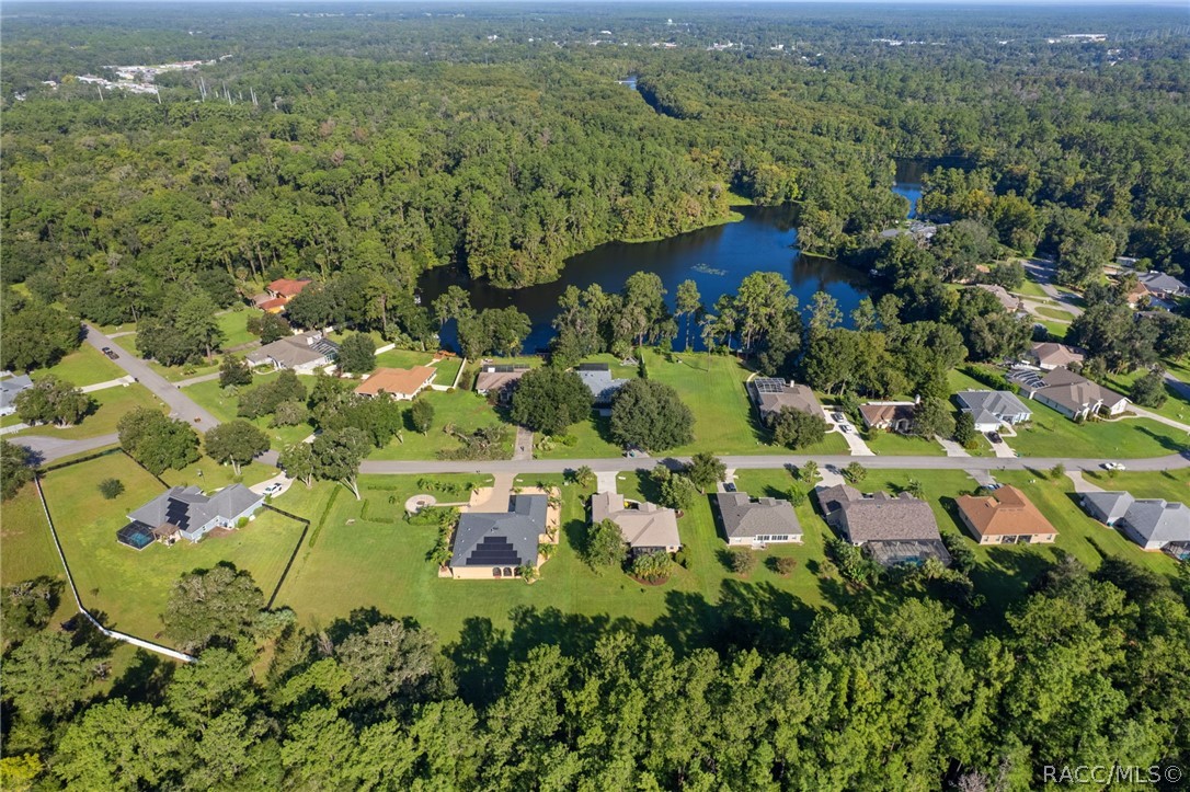 11845 N Bluff Cove Path, Dunnellon, FL 34434