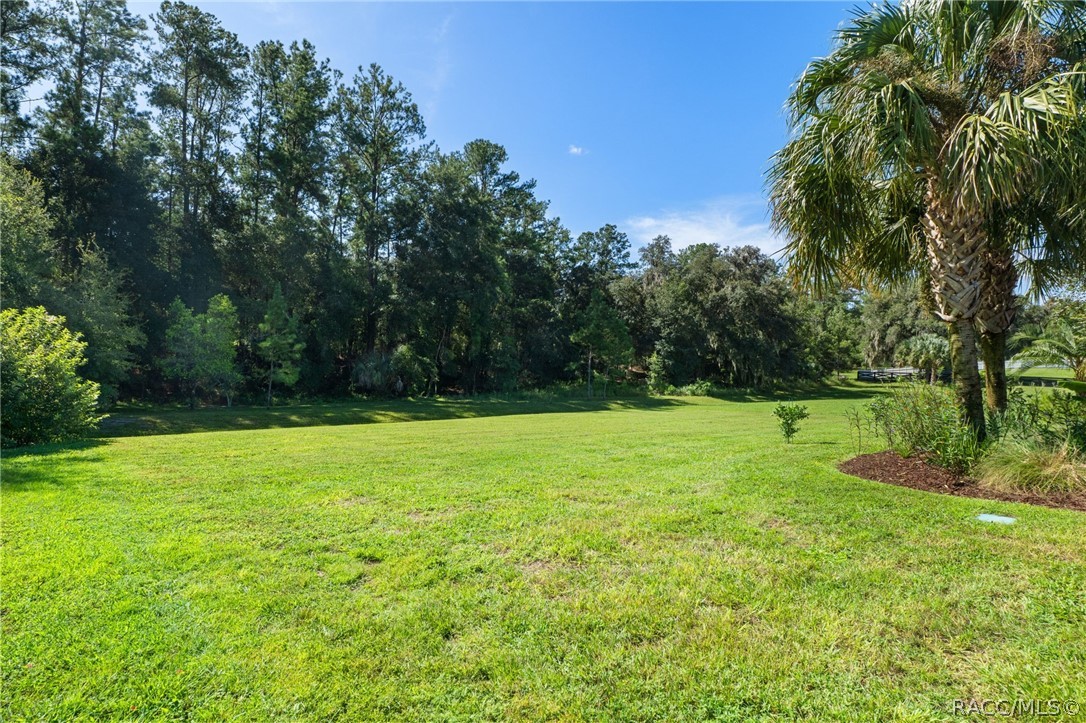 11845 N Bluff Cove Path, Dunnellon, FL 34434