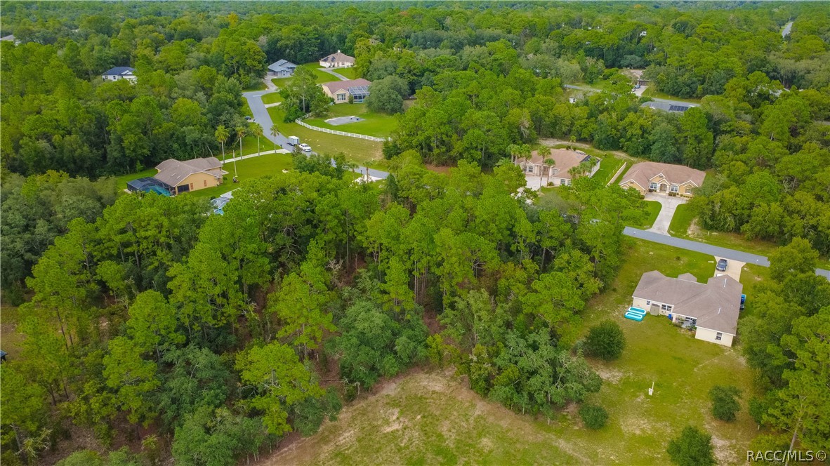 1256 N Chance Way, Inverness, FL 34453
