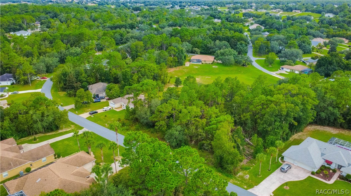 1256 N Chance Way, Inverness, FL 34453