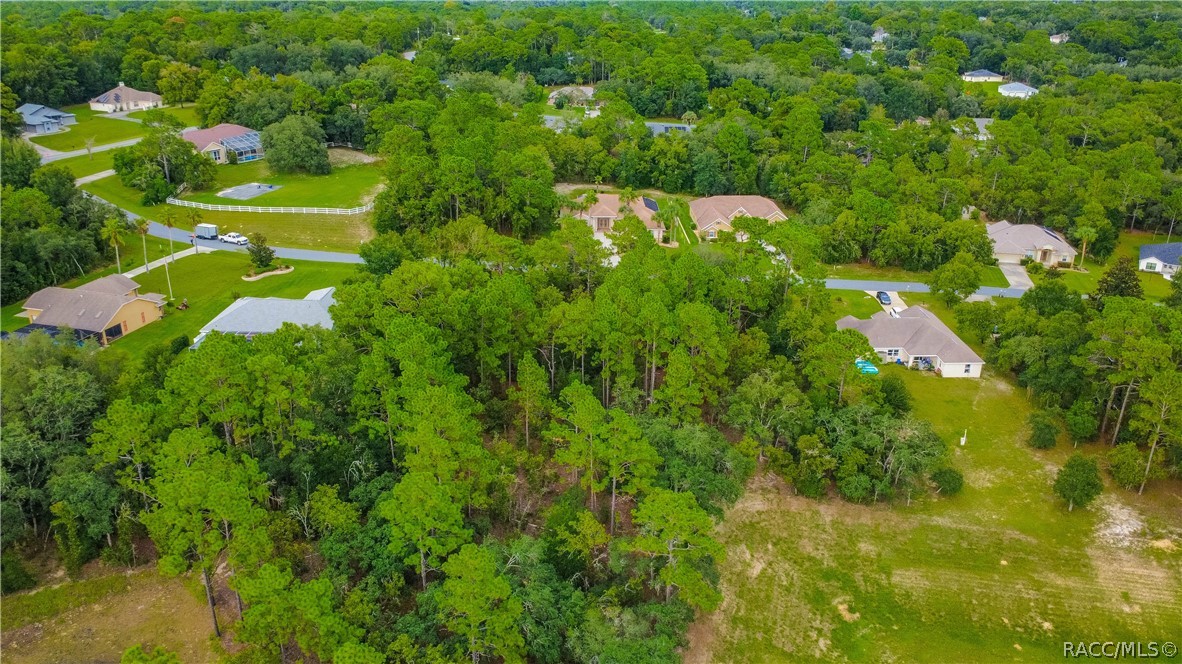 1256 N Chance Way, Inverness, FL 34453
