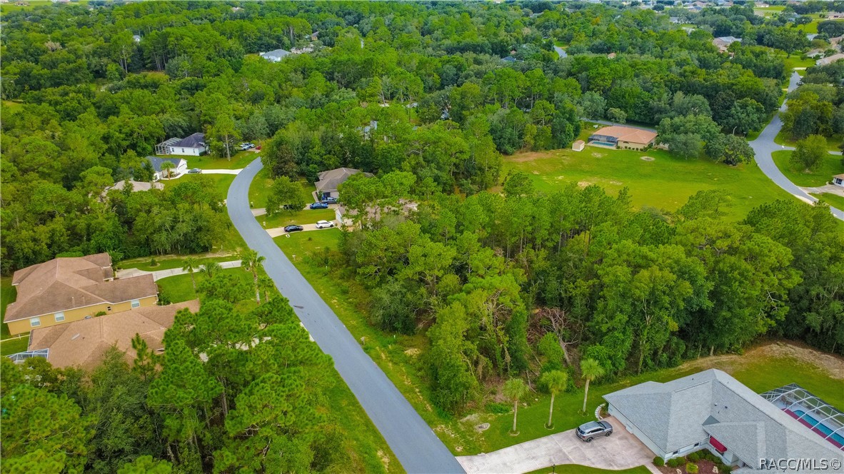 1256 N Chance Way, Inverness, FL 34453