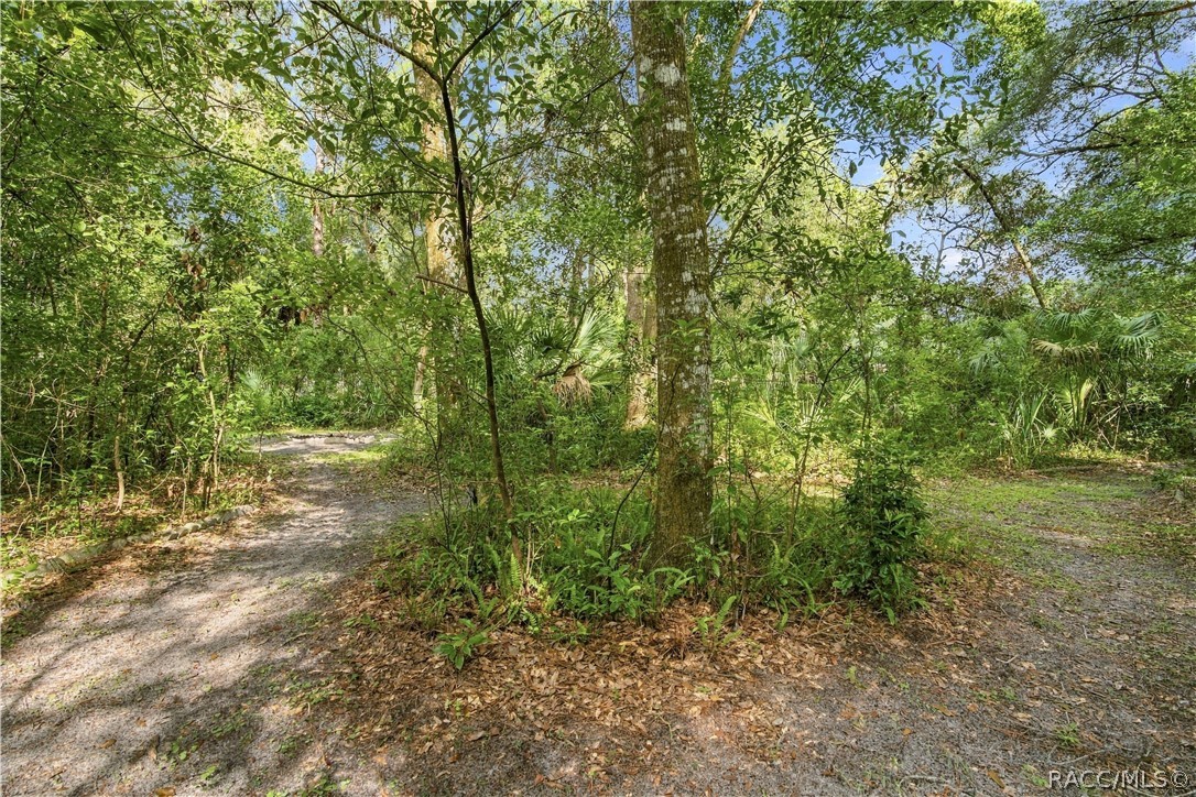 8531 E Fort Cooper Road, Inverness, FL 34450