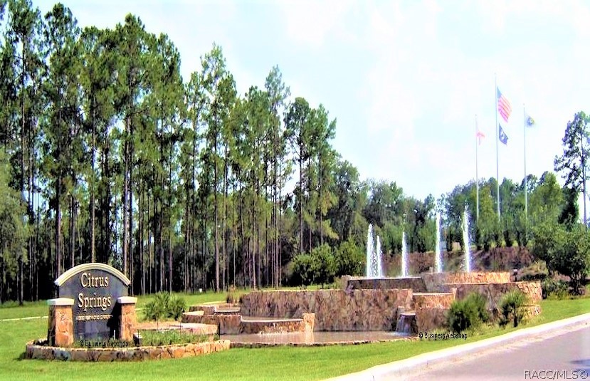 608 E Irene Lane, Citrus Springs, FL 34434 608 E Irene Lane, Citrus Springs, FL 34434