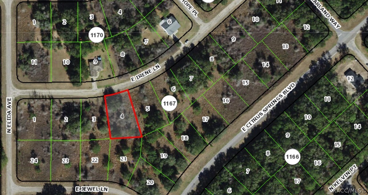 608 E Irene Lane, Citrus Springs, FL 34434 608 E Irene Lane, Citrus Springs, FL 34434