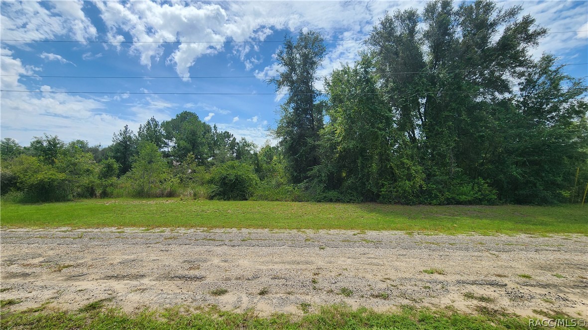 608 E Irene Lane, Citrus Springs, FL 34434 608 E Irene Lane, Citrus Springs, FL 34434