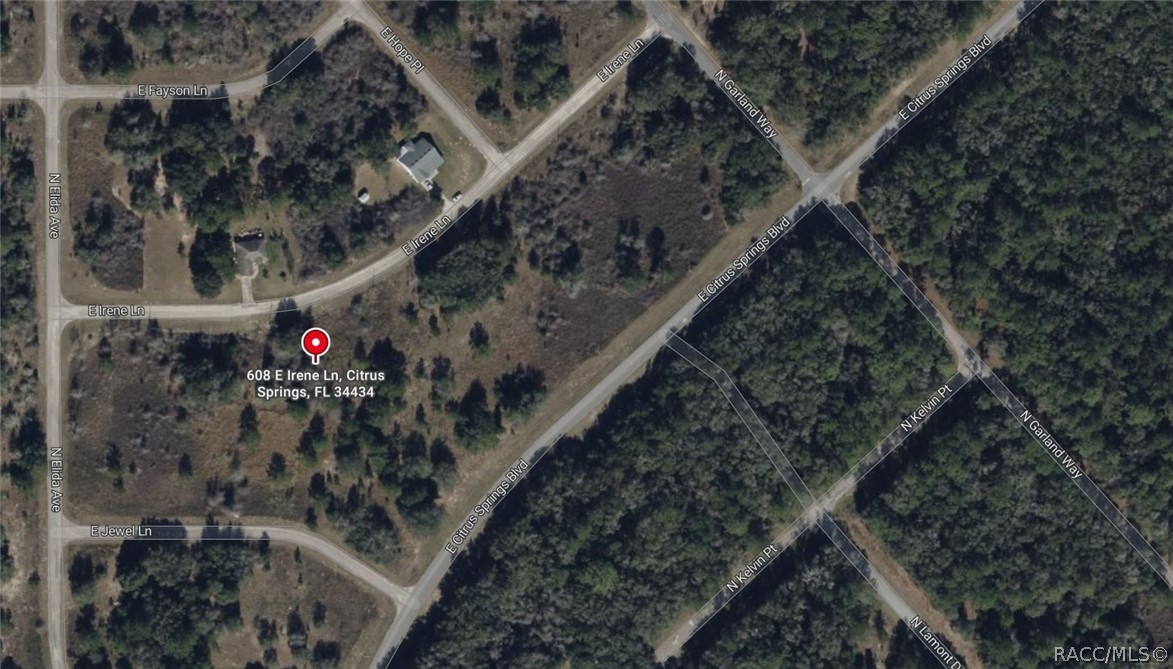 608 E Irene Lane, Citrus Springs, FL 34434 608 E Irene Lane, Citrus Springs, FL 34434