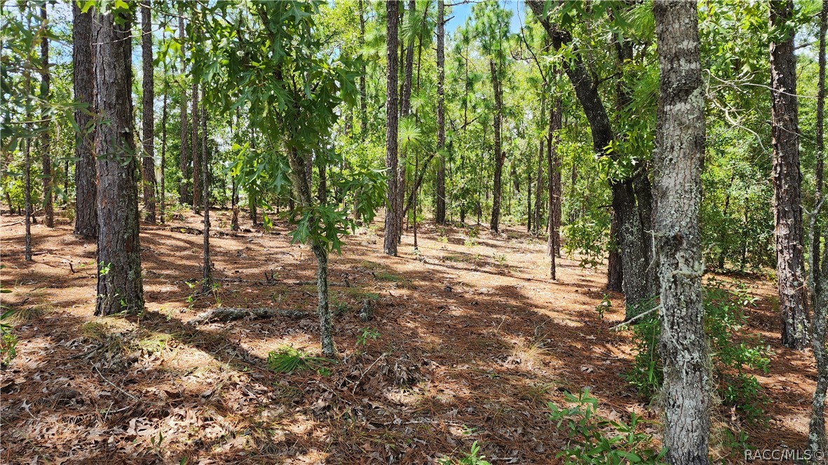 7760 N Pocono Drive, Citrus Springs, FL 34434