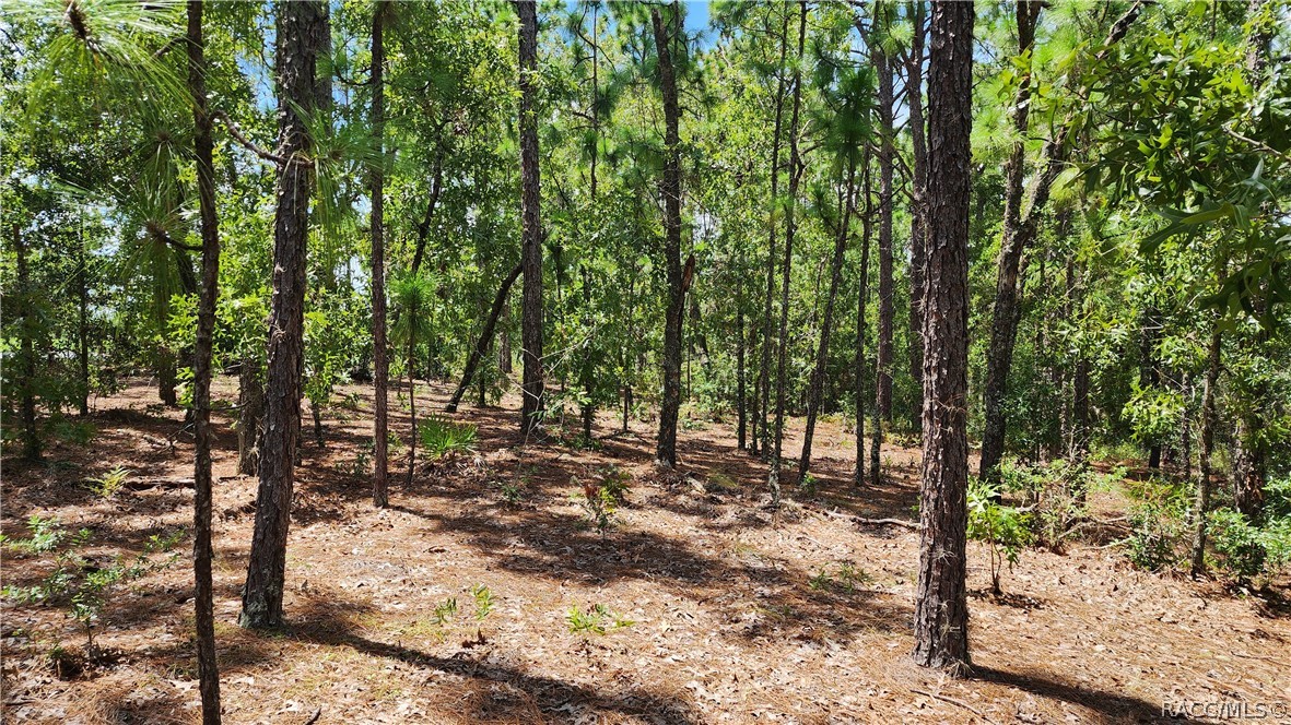 7760 N Pocono Drive, Citrus Springs, FL 34434
