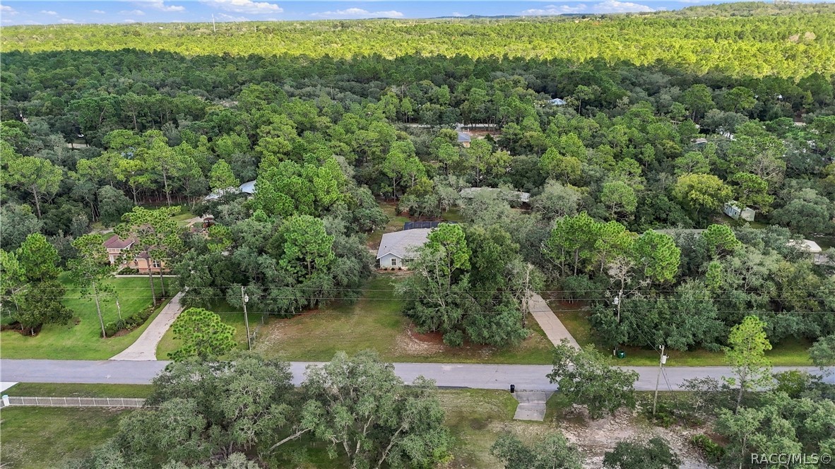 SURROUNDED BY GREENERY  Elevated aerial captures the property's wooded surroundings and sense of space.