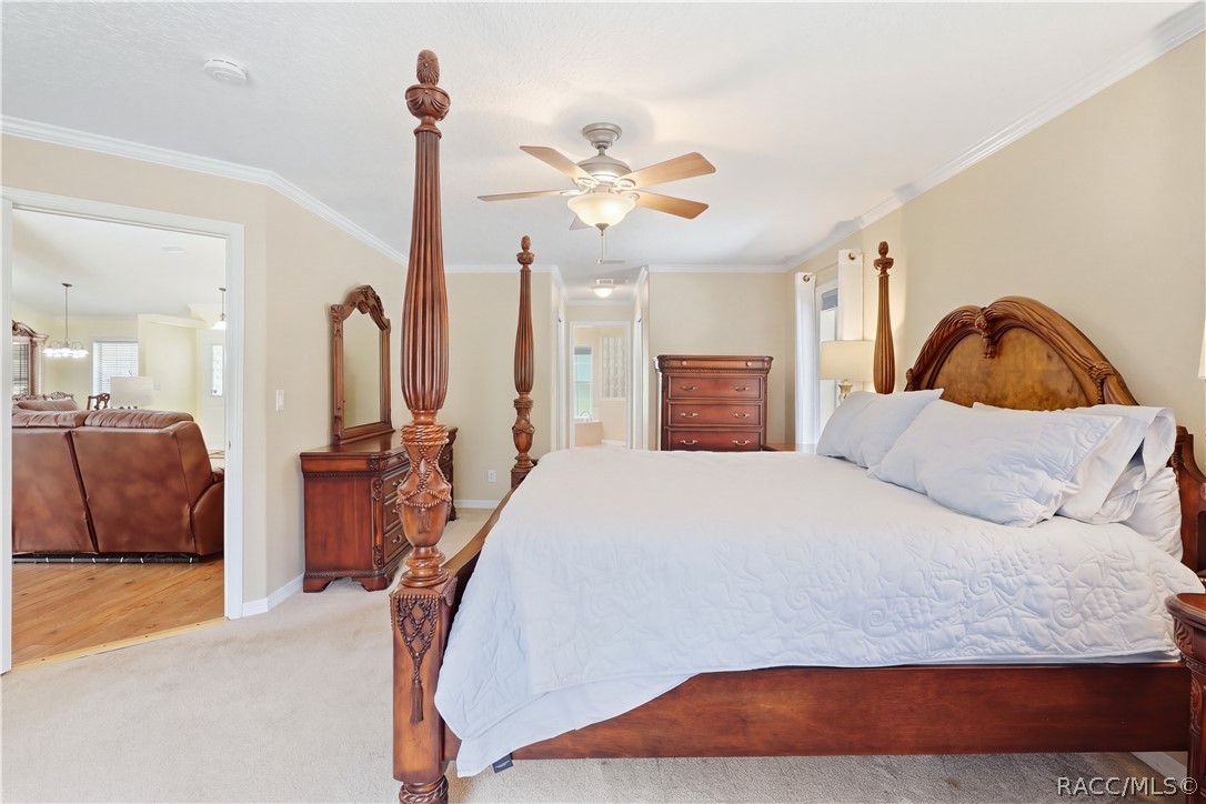 Primary Bedroom  Spacious primary suite with crown molding, ceiling fan, neutral finishes and private access toward the ensuite bath.