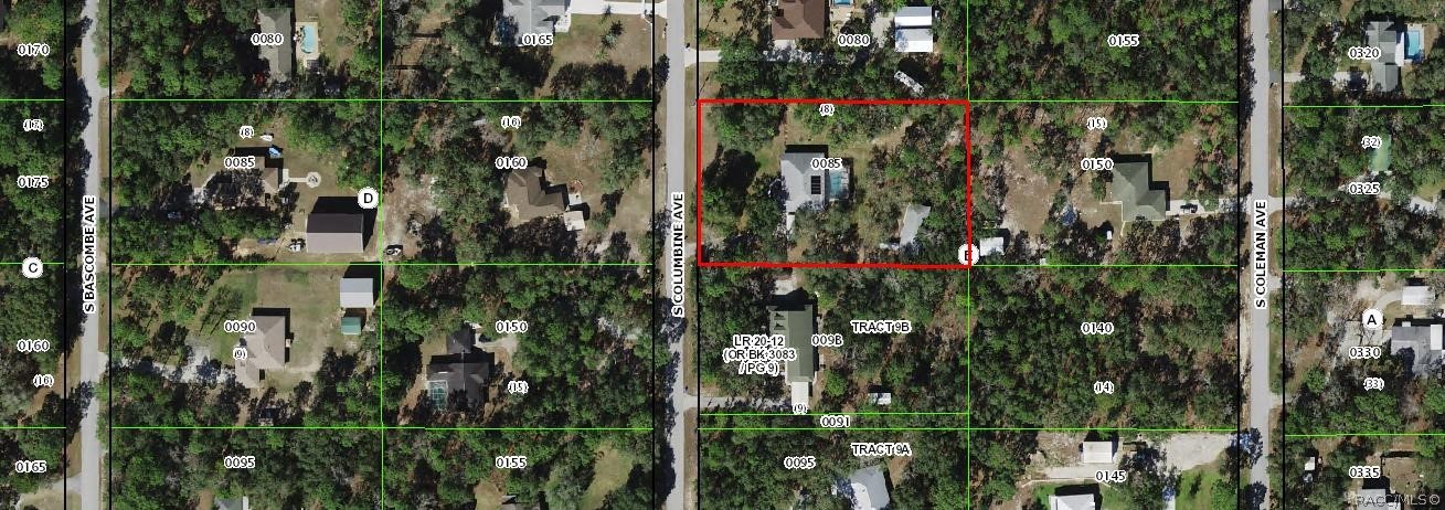 From the Property Appraisers Office- A LOOK AT THE HOMESITE  Parcel view provides perspective on the property boundaries, home placement and surrounding lots. Homesite sits on 1.25 acres.