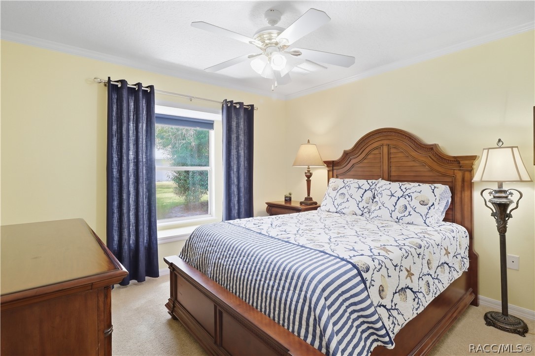 Guest Bedroom  Comfortable guest bedroom with crown molding, ceiling fan and natural light.