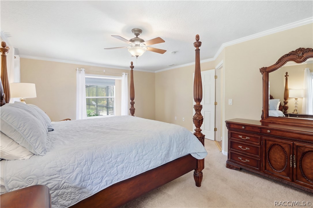 Primary Bedroom  Alternate view highlighting the generous size, natural light and crown molding.