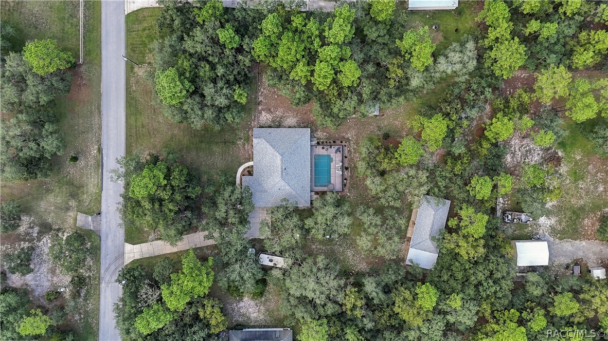 SPACE YOU CAN REALLY SEE  Overhead aerial highlights the home, pool, detached garage and generous homesite.