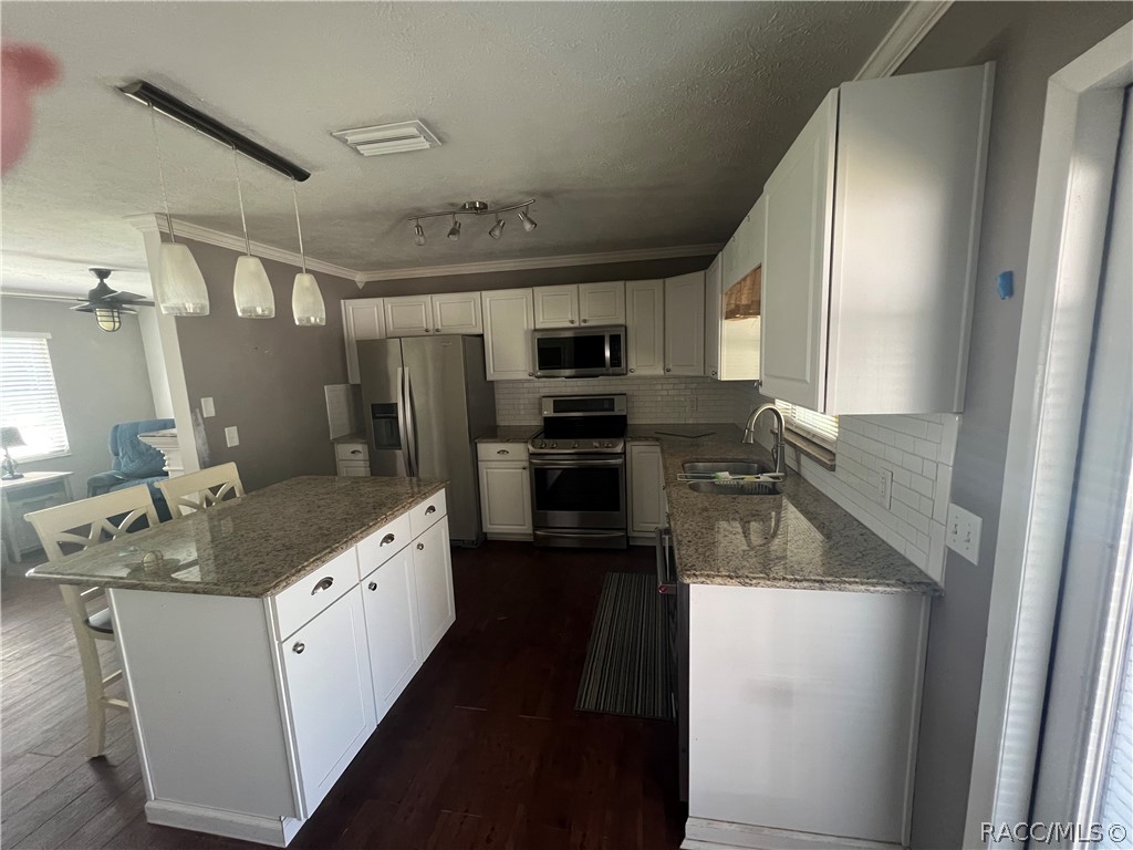 6508 N Iris Drive, Hernando, FL 34442