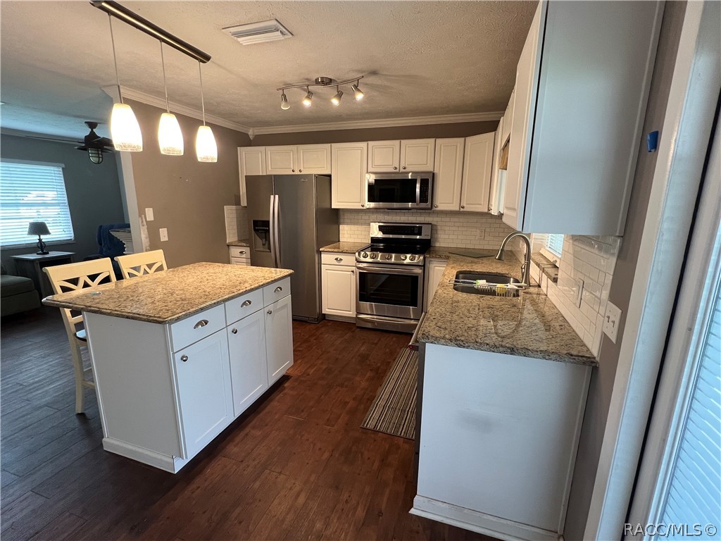6508 N Iris Drive, Hernando, FL 34442