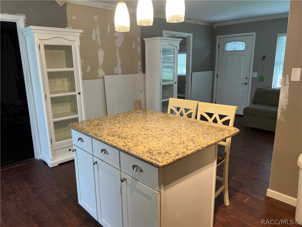 6508 N Iris Drive, Hernando, FL 34442