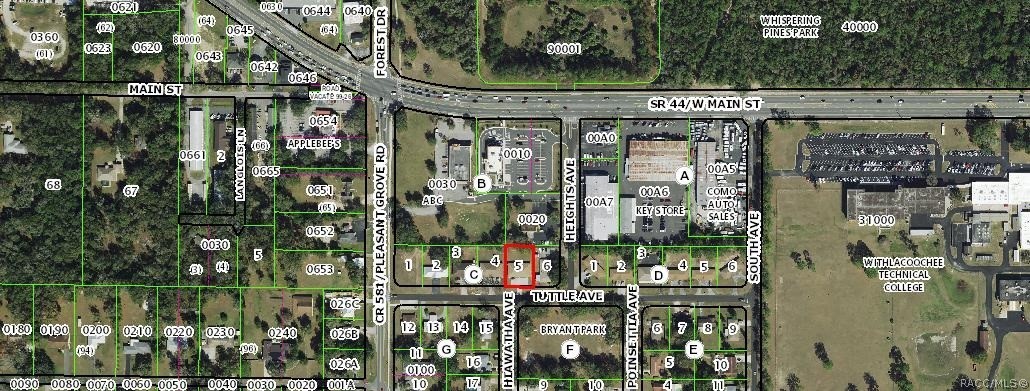 1620 Tuttle Street, Inverness, FL 34452
