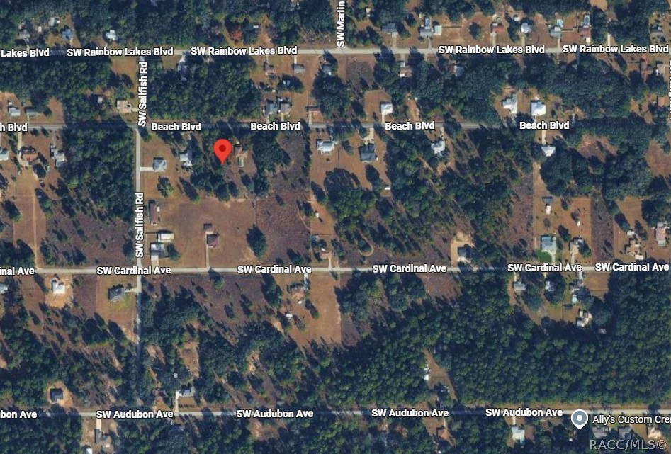 20504 SW Beach Boulevard, Dunnellon, FL 34431