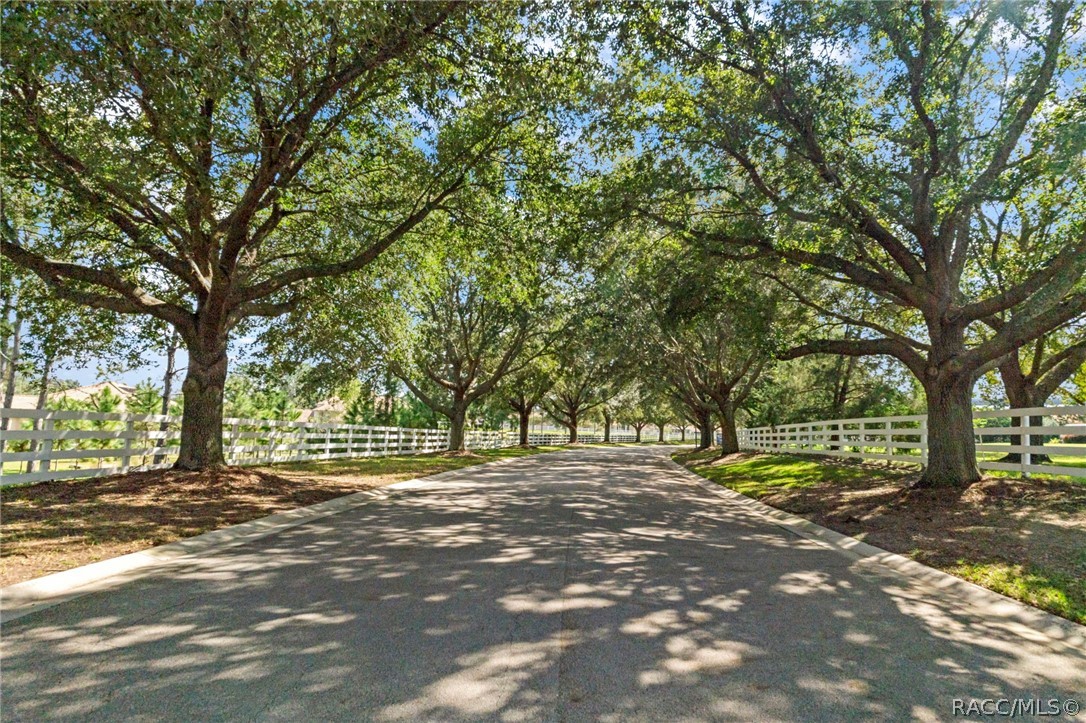 224 S Paladinn Circle, Inverness, FL 34453